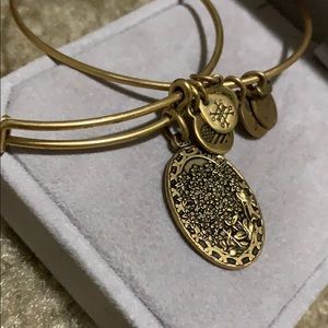 Alex and Ani bracelet